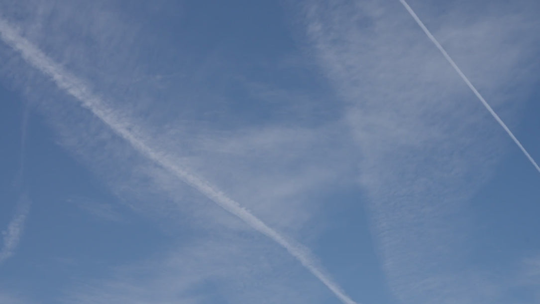 UPF 50+ sun protection shirt floating in a blue sky, caught by a hand, followed by the Essuntials lotus bloom animation
